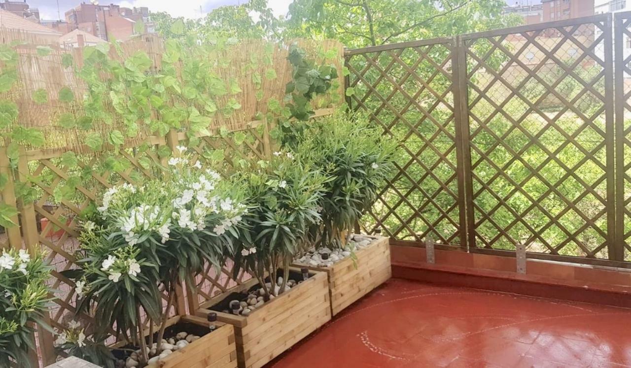 Apartamento San Quirce - Centrico Y Reformado- Wifi Y Netflix Valladolid Luaran gambar
