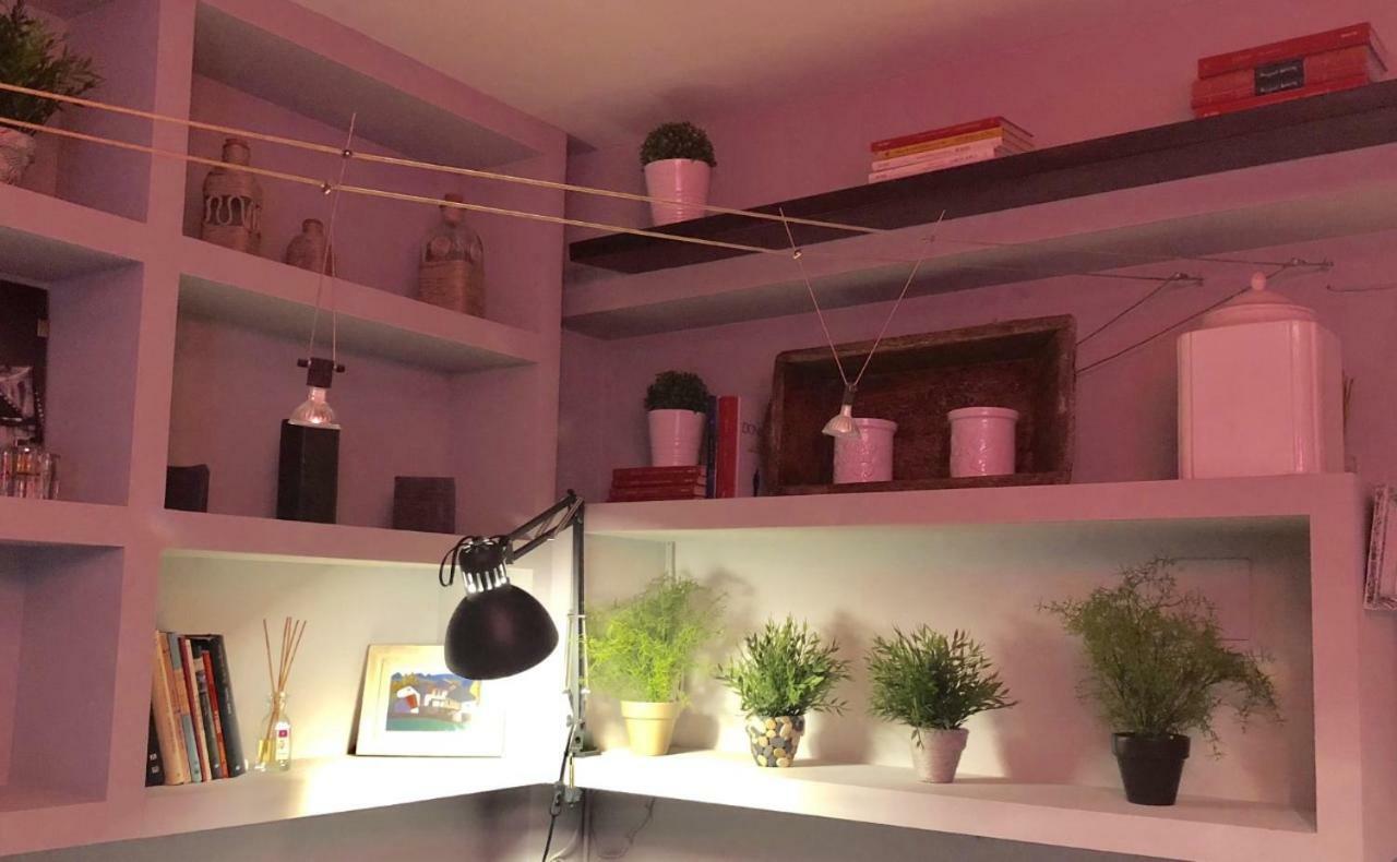 Apartamento San Quirce - Centrico Y Reformado- Wifi Y Netflix Valladolid Luaran gambar